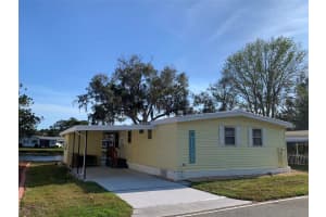 119 AUDUBON DRIVE, LEESBURG, FL 34748 Sold 07/12/24