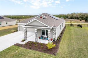 6031 CLAYSTONE WAY, MOUNT DORA, FL 32757 Sold 05/17/24