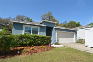 35021 SWEET LEAF LANE, LEESBURG, FL 34788 Sold 05/30/24