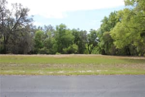 3134 BRIGHT LAKE CIRCLE, LEESBURG, FL 34748 - MLS#MFRG5079495