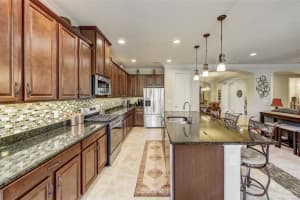 588 AUTUMN ASH DRIVE, CLERMONT, FL 34715 Sold 04/12/24