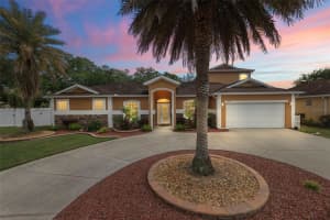 12431 48TH CIRCLE, OXFORD, FL 34484 Sold 05/24/24
