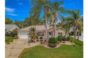 8325 178TH FERNBROOK PLACE, THE VILLAGES, FL 32162 Sold 07/08/24
