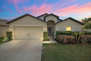 2653 ROTHERHAM ROAD, TAVARES, FL 32778 Sold 04/12/24
