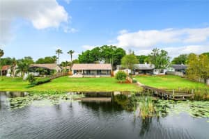 619 LAKE DOE BOULEVARD, APOPKA, FL 32703 Sold 06/04/24