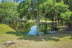 21010 WOLF BRANCH ROAD, MOUNT DORA, FL 32757 Sold 03/20/25