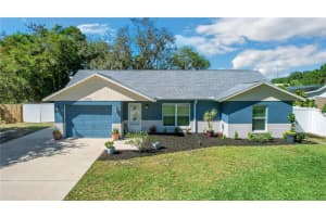 12335 PUTNEY COURT, LEESBURG, FL 34788 Sold 06/18/24