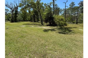 29526 DEERWOOD FARMS ROAD, SORRENTO, FL 32776 Sold 01/14/25