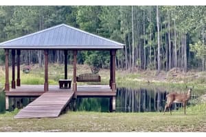 3213 SAWMILL TRAIL, AVON PARK, FL 33825 Sold 04/07/25