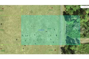 COMMONWEALTH AVE N, POLK CITY, FL 33868 Sold 03/12/25