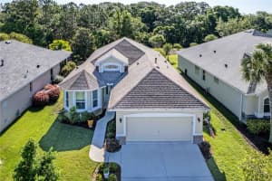 8206 BRIDGEPORT BAY CIRCLE, MOUNT DORA, FL 32757 Sold 06/12/24