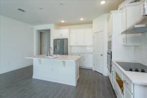 13272 PEACEFUL MELODY DRIVE, WINTER GARDEN, FL 34787 Sold 12/23/24