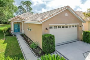 8001 SAINT ANDREWS WAY, MOUNT DORA, FL 32757 Sold 06/28/24
