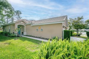 8001 SAINT ANDREWS WAY, MOUNT DORA, FL 32757 Sold 06/28/24