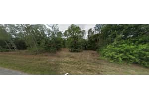 1007 LEROY AVENUE, LEHIGH ACRES, FL 33972 - MLS#MFRG5081569