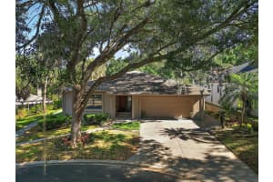 625 SAND LAKE COURT, MOUNT DORA, FL 32757 Sold 12/17/24