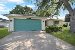 32805 OAK PARK DRIVE, LEESBURG, FL 34748 Sold 11/15/24