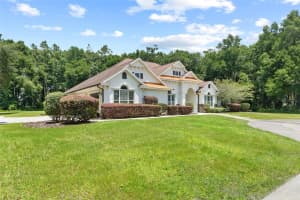 10685 104TH CIRCLE, OXFORD, FL 34484 Sold 11/01/24