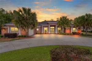 10710 Sw 49th Ave, OCALA