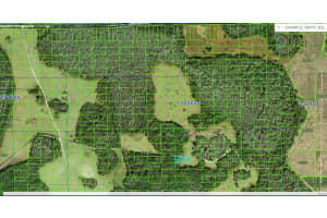 DEEN STILL RD, POLK CITY, FL 33868 Sold 03/12/25