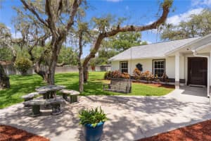 31919 HEDGEROW DRIVE, WESLEY CHAPEL, FL 33543 Sold 10/21/24
