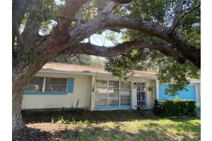 315 BELLE AYRE DRIVE, MOUNT DORA, FL 32757 Sold 07/23/24