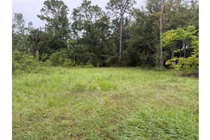 7435 LINCOLN LANE, HOMOSASSA, FL 34448 - MLS#MFRG5082700