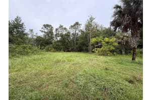 7435 LINCOLN LANE, HOMOSASSA, FL 34448 - MLS#MFRG5082700