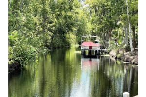 3021 MYAKKA RIVER ROAD, TAVARES, FL 32778 Sold 01/06/25
