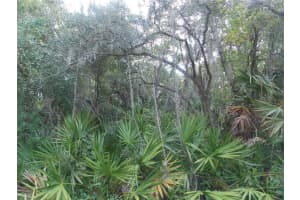 Lots 102, 103 CYPRESS DRIVE, LEESBURG, FL 34788 - MLS#MFRG5082778