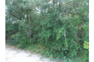 Lots 102, 103 CYPRESS DRIVE, LEESBURG, FL 34788 - MLS#MFRG5082778