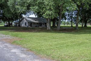 1310 145TH STREET, OCALA, FL 34473 Sold 12/13/24