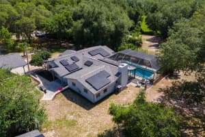 4242 GRIFFIN VIEW DRIVE, LADY LAKE, FL 32159 Sold 03/28/25