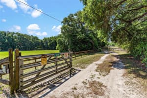4242 GRIFFIN VIEW DRIVE, LADY LAKE, FL 32159 Sold 03/28/25