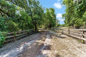 4242 GRIFFIN VIEW DRIVE, LADY LAKE, FL 32159 Sold 03/28/25