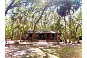 21936 FREEMAN DRIVE, UMATILLA, FL 32784 Sold 12/30/24