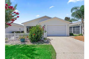 8256 175TH TYBEE STREET, THE VILLAGES, FL 32162 Sold 11/27/24