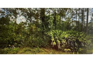 MLS# MFRG5083321, Lehigh Acres, Florida 33972