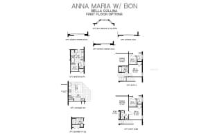 2244 JUNIPER BERRY DRIVE, MINNEOLA, FL 34715 Sold 11/08/24