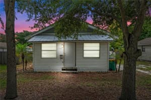 704 DISSTON AVENUE, TAVARES, FL 32778 Sold 01/23/25