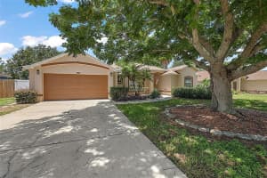 1112 BREEZY KNOLL ST, MINNEOLA, FL 34715 Sold 09/24/24