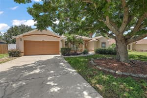 1112 BREEZY KNOLL ST, MINNEOLA, FL 34715 Sold 09/24/24