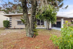 1113 Oakland Cir, TAVARES