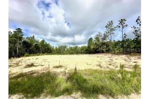 6106 127TH AVENUE ROAD, OCALA, FL 34481 Sold 12/30/24