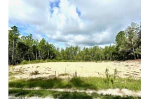 6106 127TH AVENUE ROAD, OCALA, FL 34481 Sold 12/30/24