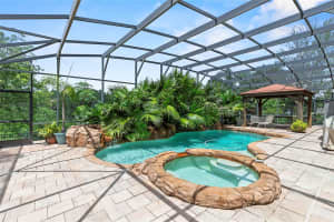 6060 TREMAYNE DRIVE, MOUNT DORA, FL 32757 Sold 11/25/24