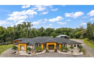 14227 COUNTY ROAD 455, CLERMONT, FL 34711 Sold 02/07/25