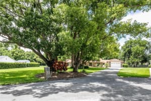 121 LAKEVIEW LANE, MOUNT DORA, FL 32757 Sold 12/31/24