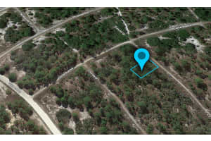 363 CONCERT DRIVE, LAKE PLACID, FL 33852 - MLS#MFRG5084043