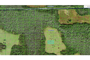 DEEN STILL RD, POLK CITY, FL 33868 Sold 02/28/25